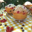 Ribizlis-csokicseppes muffin
